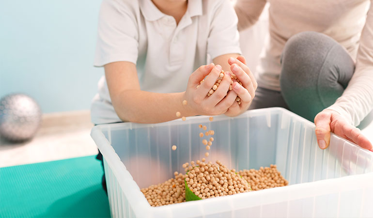 Bedensel Engelli Bireylere Destek Programı 